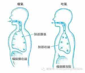 歌唱的呼吸方法 歌唱的呼吸方法 歌唱中呼吸的流动方法