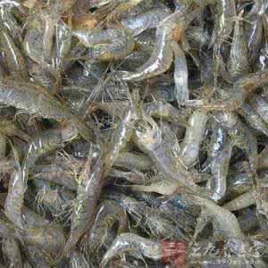 河虾怎么清洗 河虾怎么洗？3个洗河虾的小窍门