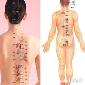 中医经络健康检测专家 中医经络 了解经络健康从内而外