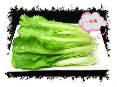 四季小白菜 四珍小白菜