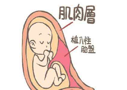 胎盘前壁的优点 胎盘后壁好还是前壁好