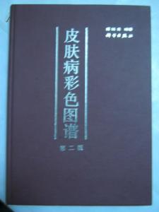 泡妞秘籍 《精装泡妞秘籍》第二部分