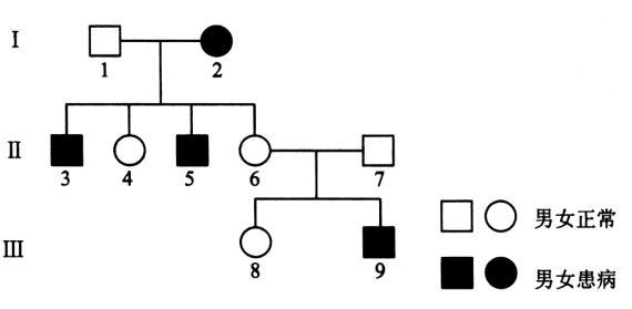 遗传病概率计算 遗传病系谱图的分析及有关概率的计算