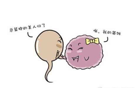 卵子在体内存活时间 卵子在女性体内存活时间是多久