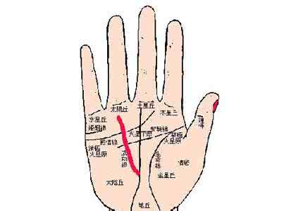 心肺耐力训练 体质训练——提高心肺耐力寿命长