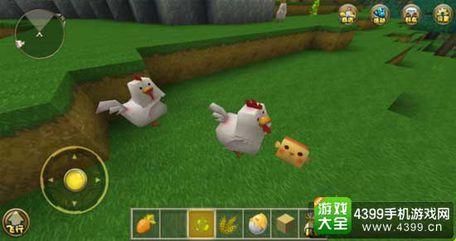 迷你世界小鸡怎么长大 迷你世界里怎么喂小鸡？
