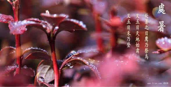 瑜伽心肺经的养护 处暑时节做传统保健操养护心肺