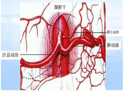 气功的科学原理 气功科学原理 - 血管共振(转载)