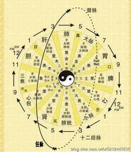 经络疼痛怎么办 疼在经 痛在络 疼痛止痛只能同经络psijD6