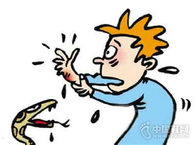 预防毒蛇咬伤的方法 毒蛇咬伤效方