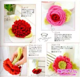 钩针编织花朵视频教程 超美！钩针花朵编织书分享【下】