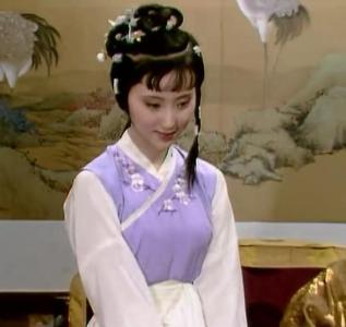 红楼梦贾府平面图 【红迷夜话】贾府之外看贾府