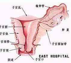同房后白带咖啡色 咖啡色月经可以同房吗 月经咖啡色是怎么回事