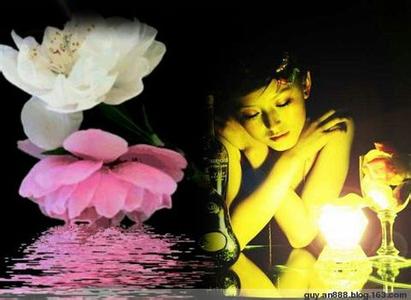 女人如花花如梦 女人如花、红尘似梦