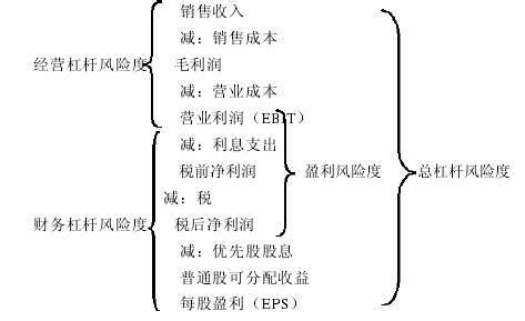 财务杠杆的风险研究 财务杠杆的原理及其风险研究