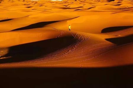 沙漠舞者 【沙漠舞者】英