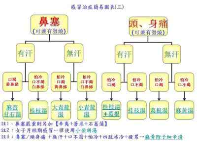 倪海厦经方 倪海厦经方 经方大家倪海厦谈预防心脏病，有些知识第一次听说