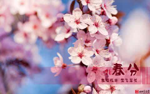 春分时节养生 春分的由来,春分时节养生全攻略
