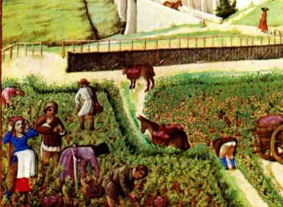 香槟酿造工艺 解密香槟酿造工艺