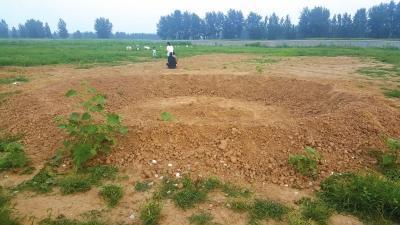 荒草丛生 巴铁生产基地荒草丛生 梦见荒草