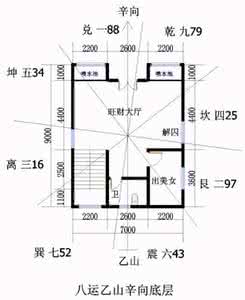 八运住宅平面设计图 八运乙山辛向住宅平面设计图