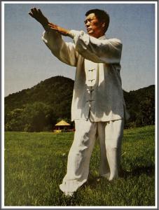 八卦掌散手 pdf 八卦掌之实战散手功夫——附:【八卦掌“十要“】