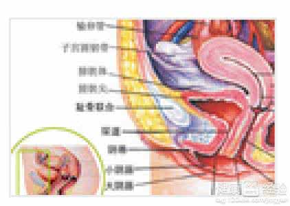 外阴炎治疗的方法 外阴炎治疗的方法 外阴炎 不需要治疗就能痊愈？