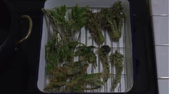 小森林菜谱 小森林菜谱 林师傅的菜谱