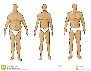 易语言 变体型 易语言变体型 如何从体型看生产难易度?