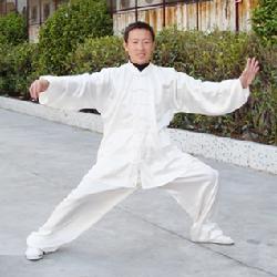 武当赵堡太极拳 武当赵堡太极拳精华二十式(上)----李峰