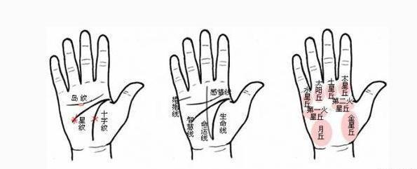 生男生女早知道 手相大师告诉你,生男生女早有定论,一切秘密都在手掌之中!