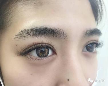 日本睫毛膏 日本大流行 这样种睫毛