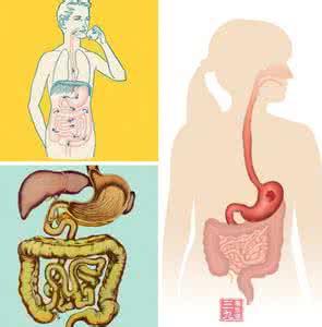 大柴胡汤加减 大柴胡汤加减治疗胆道疾病体会