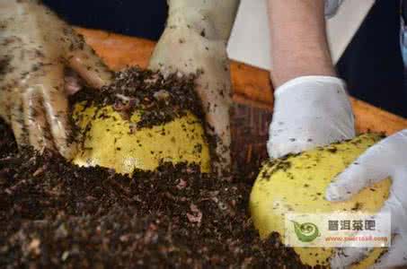 国宝秘方 【台湾名方】图荐《国宝秘方：肝硬化腹水痊愈几乎不花钱番薯嫩叶敷！》