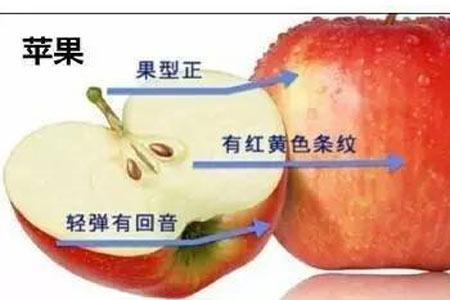 高品质水果 图解丨最全水果挑选攻略，教你一眼看穿品质好坏