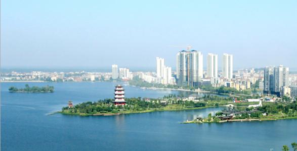 南有嘉鱼txt 南有嘉鱼