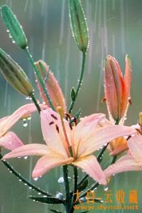 不解释的才叫从容 美文雅句：不解释的，才叫从容。不执着的，才叫看破。不完美的，才叫人生。