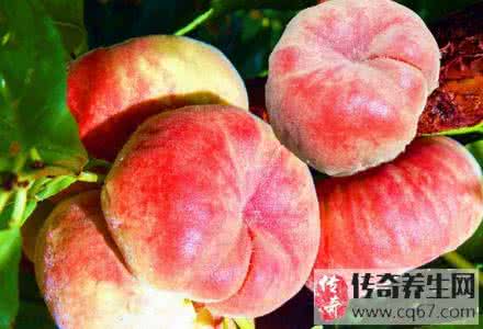 蟠桃的功效与作用 蟠桃的功效作用