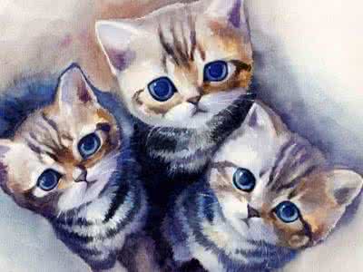 十二生肖中为何没有猫 十二生肖为什么没有猫 十二生肖中为什么没有猫