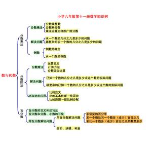 六年级下册数学知识树 小学六年级第十一册数学知识树（1）