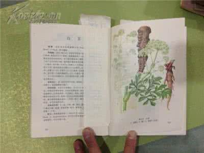 中草药图集 《实用中草药彩色图集》（16册）