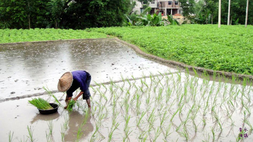 5月22日北京降雨量 每年4月20日前后,雨量增加,是播种、出苗的时候,节气为谷雨。...