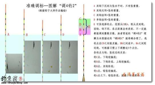 浮标的种类图解 图解浮标的种类及用法（转）