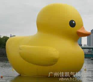 橡皮泥小黄鸭 香港小黄鸭 巨大的橡皮小黄鸭（Rubber Duck）为什么会轰动全香港？_香港小黄鸭