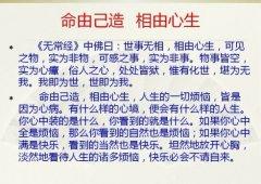 对人生感悟的小文章 人生感悟 人生哲理小文章