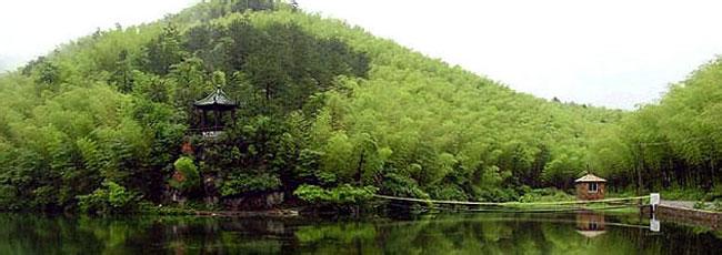 宜兴竹海风景区 宜兴竹海风景区 宜兴竹海风景区风景美食介绍