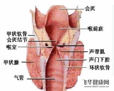 怎么治好咽喉炎 治咽喉病3--5次愈