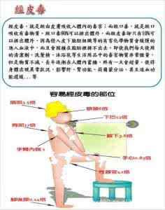 洗涮涮 “经皮毒” 洗洗涮涮中偷袭你的健康