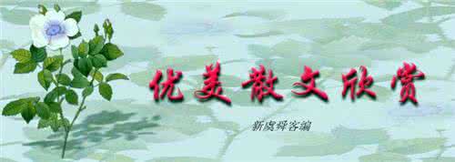为我的母亲祈祷 双语散文:为我的母亲祈祷