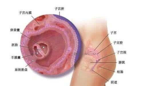 子宫内膜厚18mm严重吗 子宫内膜多厚才算正常